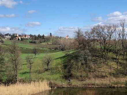 vermietete 3-Raum-Wohnung mit Terrasse in einem 3-Familienhaus
