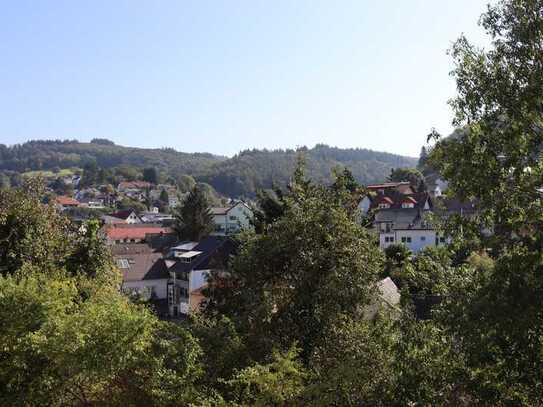 Schriesheim-Altenbach gepflegte 3 Zimmer-Wohnung mit großen Balkon zu vermieten