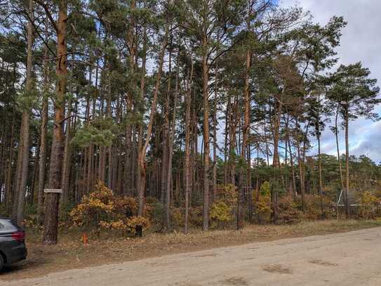 Borkheide – Grundstück in bester Ortslage