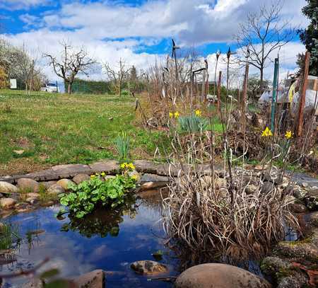 SCHÖNER, NAHEZU EBENER GARTEN MIT 669 QM * 2 HÄUSCHEN * EINGEZÄUNT * STPL. * RUHIGE LAGE