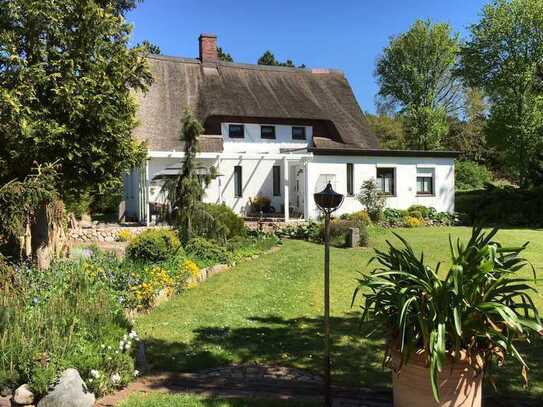 Kinderfreundliches Reetdachhaus an der Westküste Schleswig-Holtsteins