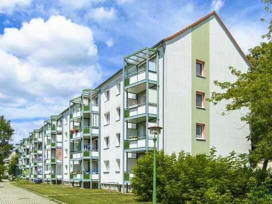 Helle und grün gelegene 3-Raumwohnung mit Balkon