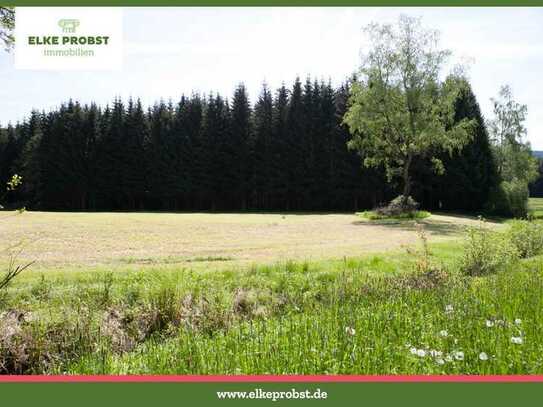 Fünf gesunde Wälder mit guter Zufahrt