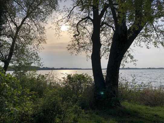 Einfamilienhaus mit großem Garten in idyllischer Lage