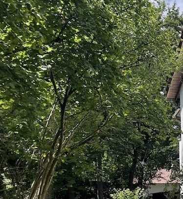 Gräfelfing ! 1a Gelegenheit - begehrtes Baugrundstück mit Altbestand in Parknähe
