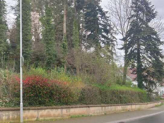 Verkauft wird das Aneignungsrecht des Landes NRW (§ 928 II BGB) an einem herrenlosen Grundstück