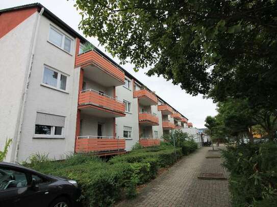 Frisch sanierte 4 Zimmer Wohnung in Bischofsheim