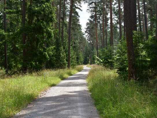 Landsitz mitten im Wald mit 19.900m² Grundstück & zahlreiche Zimmer Nähe Schlüchtern zu verkaufen!