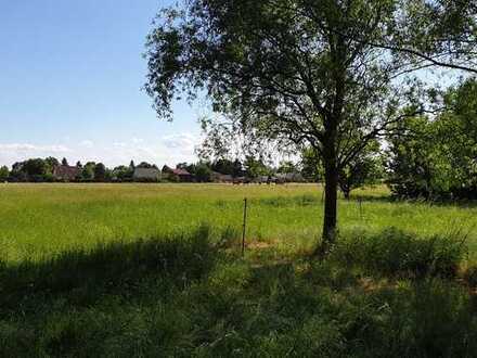 Schöne Doppelhaushälfte am Feldrand in Brieslang Nord