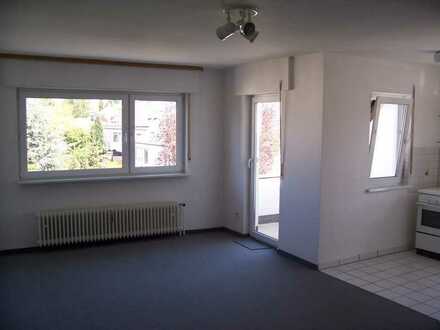 Schönes helles 1-Zimmerapartment in DreieichOffenthal