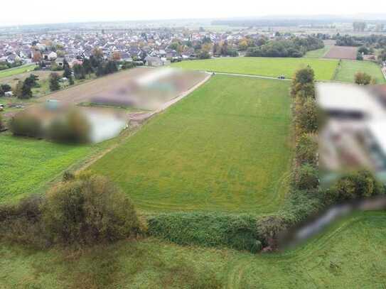 DIETZ: Traumhafte Landwirtschaftsfläche in Babenhausen Hergershausen neben Reiterhof zu verkaufen!