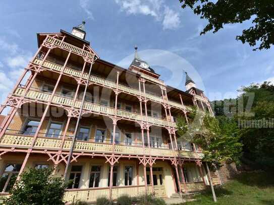 *400 m² eigener Garten - Luxus-Schloss mit Fernblick inmitten der Weinberge von Oberlößnitz* Altbau