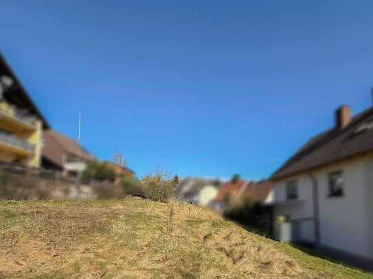 Teil erschlossenes Grundstück mit viel Potenzial in vorteilhafter Lage in Thaleischweiler-Fröschen