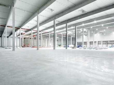 "BAUMÜLLER & CO." - ca. 60.000 m² Logistik Neubau! - ebenerdige Hallentore + Rampen