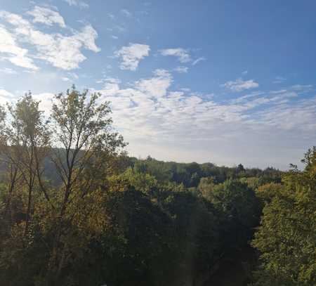 Stilvolle, sanierte 2-Raum-Wohnung mit Balkon und EBK in Bergisch Gladbach