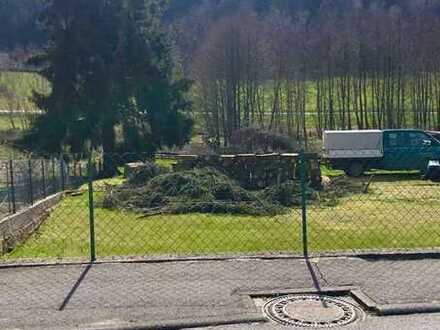 Gelegenheit: sonniges Grundstück in Wald-Michelbach
