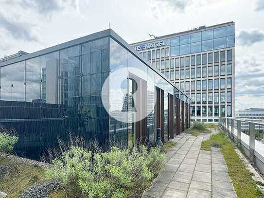 HIT vermietet repräsentative, gekühlte Büros mit großer Dachterrasse im Herzen der HafenCity!