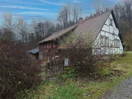 Einfamilienhaus mit Potenzial - Wohnen am grünen Rand von Hartenstein