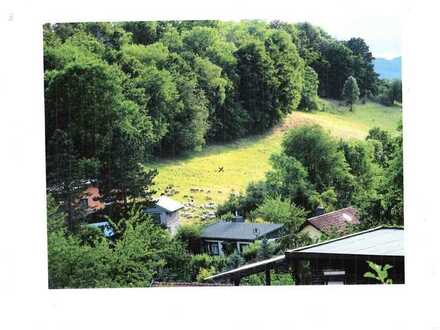 Bauland für Ferienhäuser oder evtl. Hotelneubau im Heilklimatischen Luftkurort Neustadt/Harz