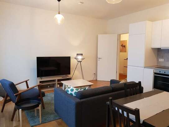 Available 01.01.2025 - furnished apartment near green park for rent-absolutely central Berlin