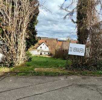 Baugrundstück in Gondelsheim direkt vom Eigentümer