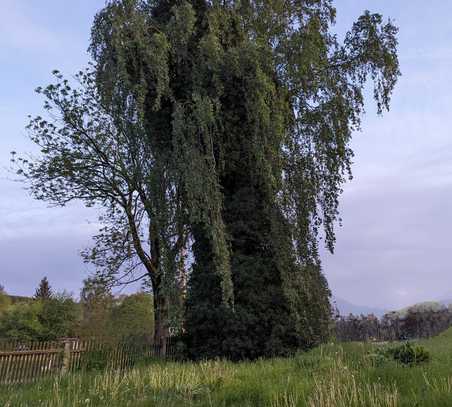 Ruhiges Einfamilienhaus