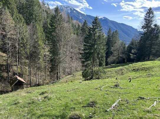 Wald und Grünland in attraktiver Höhenlage am Tegernsee