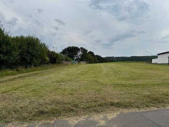 Großes Baugrundstück mit Wiese am Ortsrand von Queck