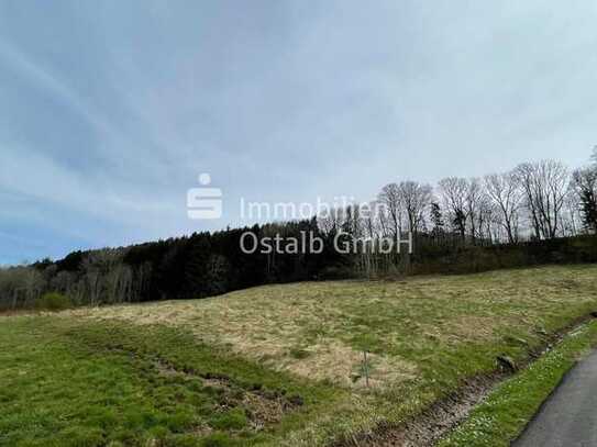 Exklusive Wald- und Grünflächen bei Straßdorf-Metlangen - Kein Bauland