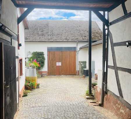 Idyllischer VIERKANTHOF auf ca. 1860 m² mit MAXI-Scheune, Grünland, Obstwiese und Bachlauf