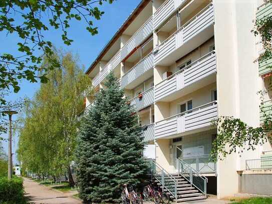 Klein aber fein - sanierte 2-Raum Wohnung im Erdgeschoss