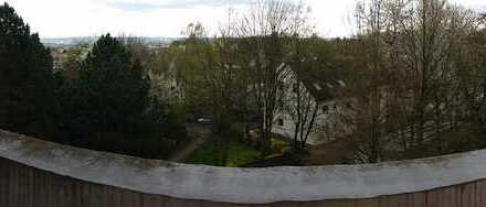Exklusive, geräumige 1-Zimmer-Wohnung mit Balkon und Einbauküche in Wiesbaden