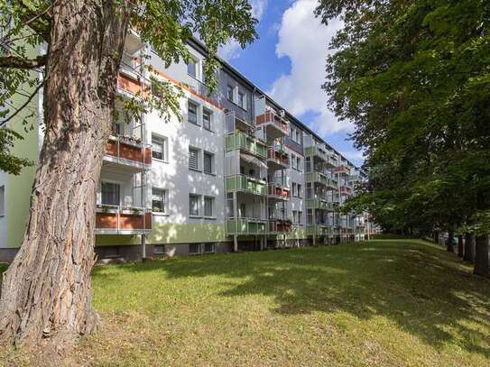 In beliebter Lage... 3 Zimmer mit Balkon im schönen Flemminggebiet