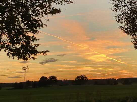 3,1 HA Waldfläche