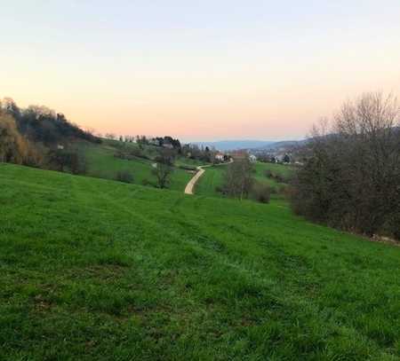 Grundstück mit Panoramablick für Zweifamilienhaus