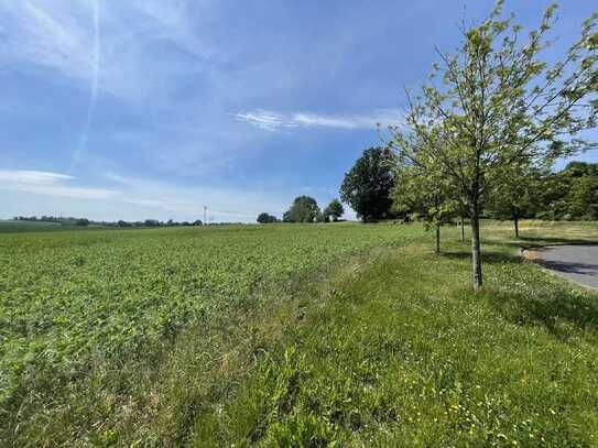 Der Freiraum-Klassiker als Stadtvilla auf ca. 700m² Grundstück mit freiem Blick auf die Felder