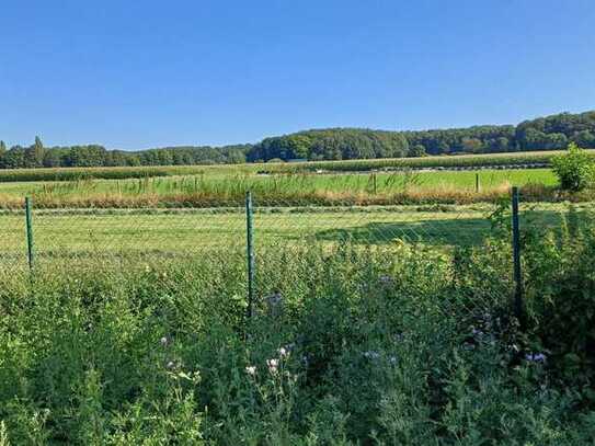 Freistehendes Einfamilienhaus - NEUBAU in Viersen - Dülken !