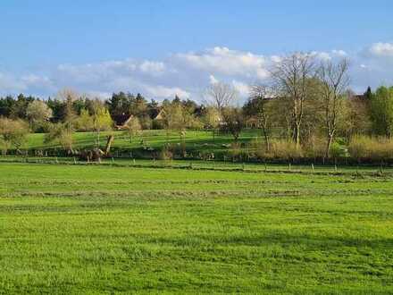 **NATUR-NAHES-WOHNEN! Schwedenhaus, ca. 100m² Wfl., 3 Zi. + ca. 440m² Grundstück, Nähe Eutin!