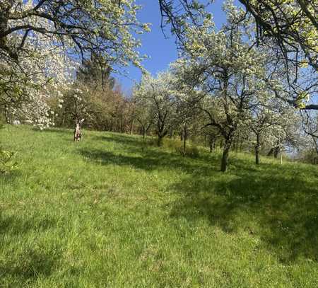 Freizeitgrundstück mit Hütte, Sitzplatz, Äpfel, Birnen, Kirschen....