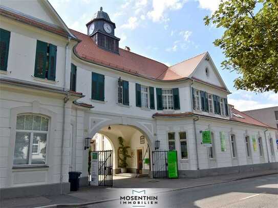 Vereinen Sie stilvoll Leben und Arbeiten - 4 Zi.-Loft im Bau-Denkmal