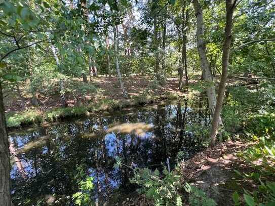 Schönes sonniges Baugrundstück mit direktem Wasserzugang in Groß Köris