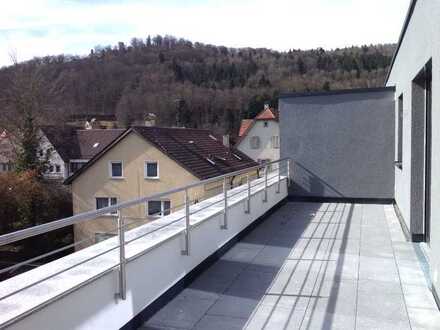 Sonnige 3,5 Zimmer Penthouse-Wohnung mit großer Dachterrasse