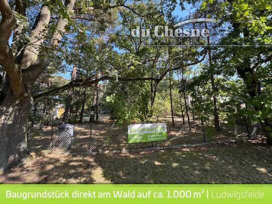 Schönes Baugrundstück auf knapp 1.000 € direkt am Wald