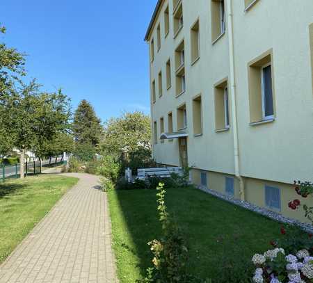 Güttin, Vollständig renovierte 2-Raum-Wohnung mit Balkon im Erdgeschoss zur Sonnenseite