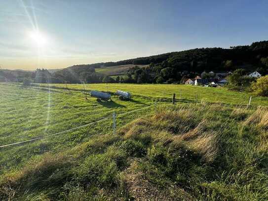 1A Baugrundstück Grundstück Panorama Aussicht in 67808 Ransweiler