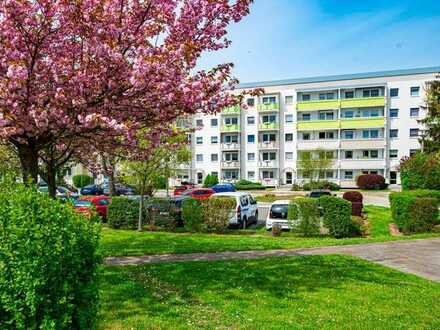 Wohnvergnügen verteilt auf 4 Zimmer