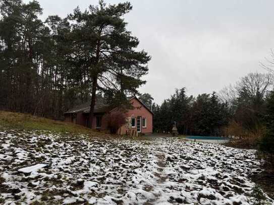 Wunderschön gelegener Wald-Bungalow in Seenähe