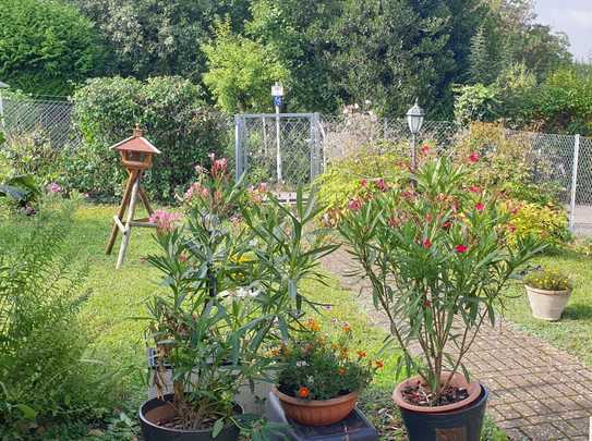 Für Naturliebhaber und Individualisten - Altes Haus auf großem Grundstück