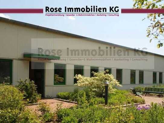 ROSE IMMOBILIEN KG: Produzieren - Lagern - Kommissionieren - Verteilen in Rahden!