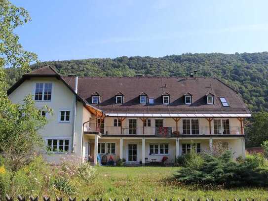 4-Zimmerwohnung mit Balkon, Donaublick und großem Garten